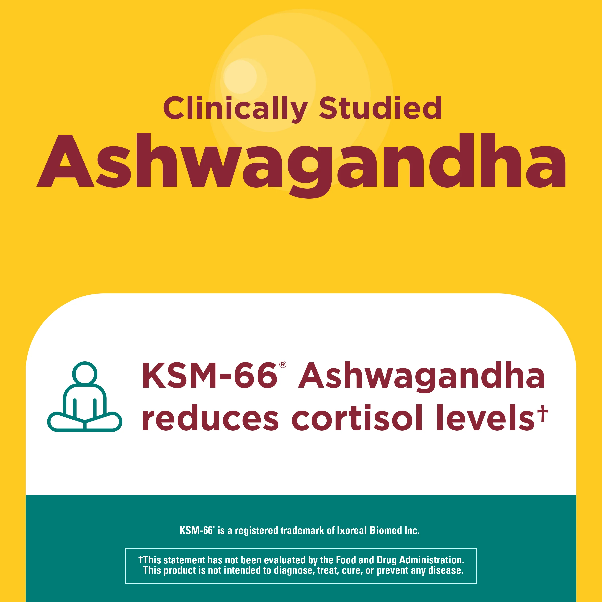 Ashwagandha + Reishi Mushroom Capsules - Image 4
