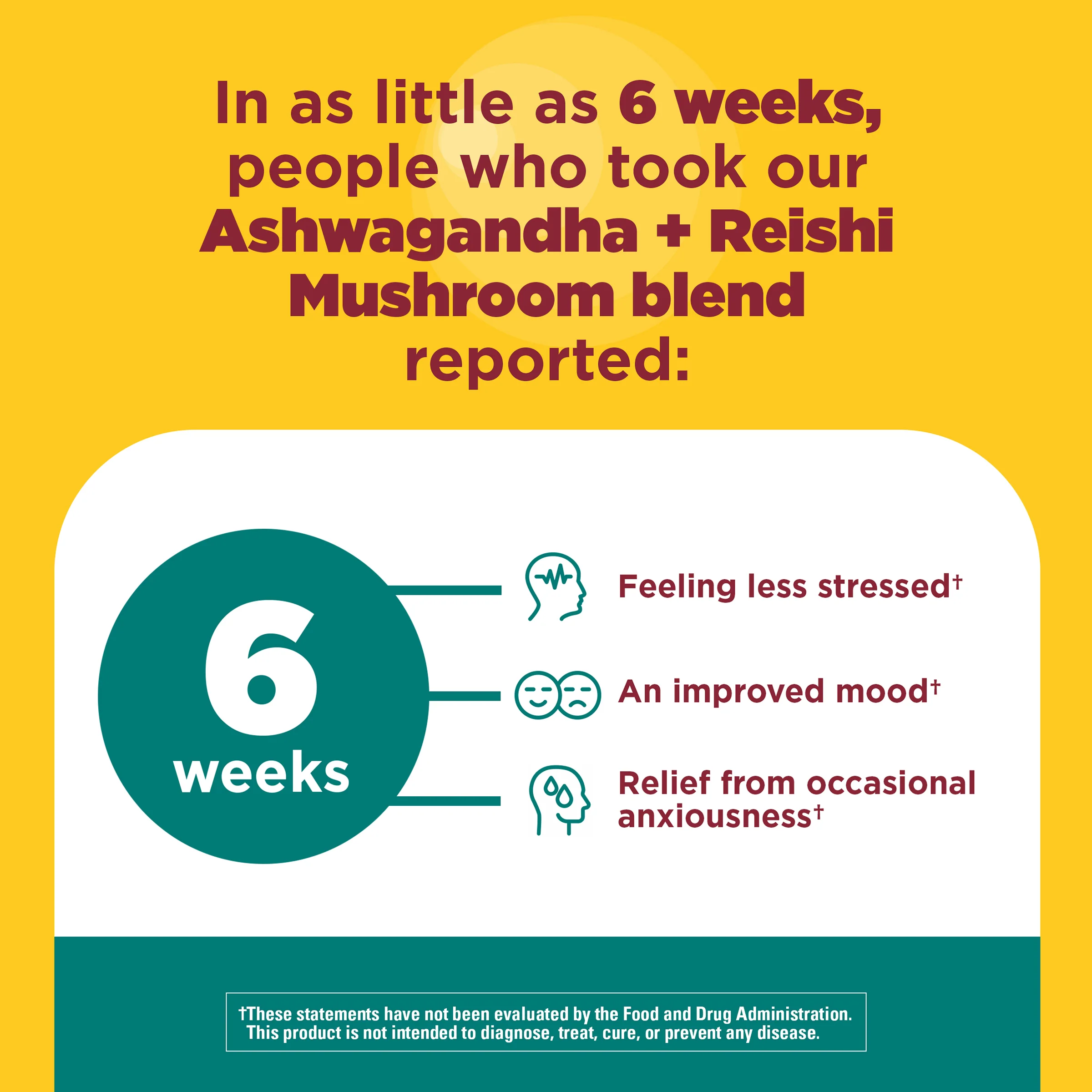 Ashwagandha + Reishi Mushroom Capsules - Image 7