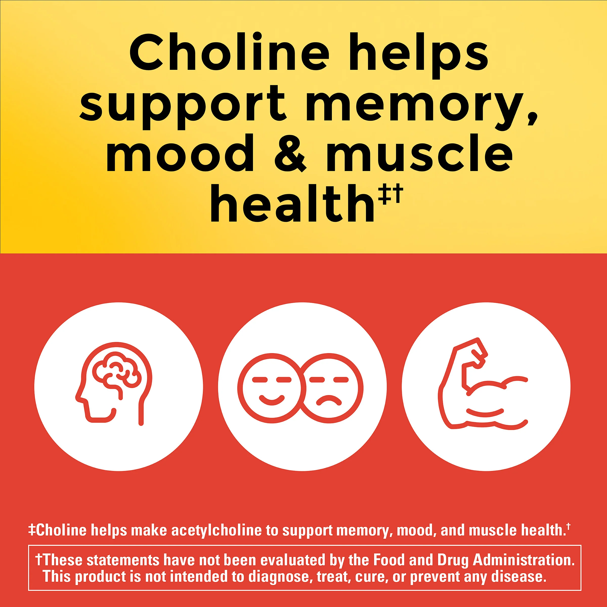 Choline Extra Strength Dosage 800 Mg Per 3 Capsules - Image 4