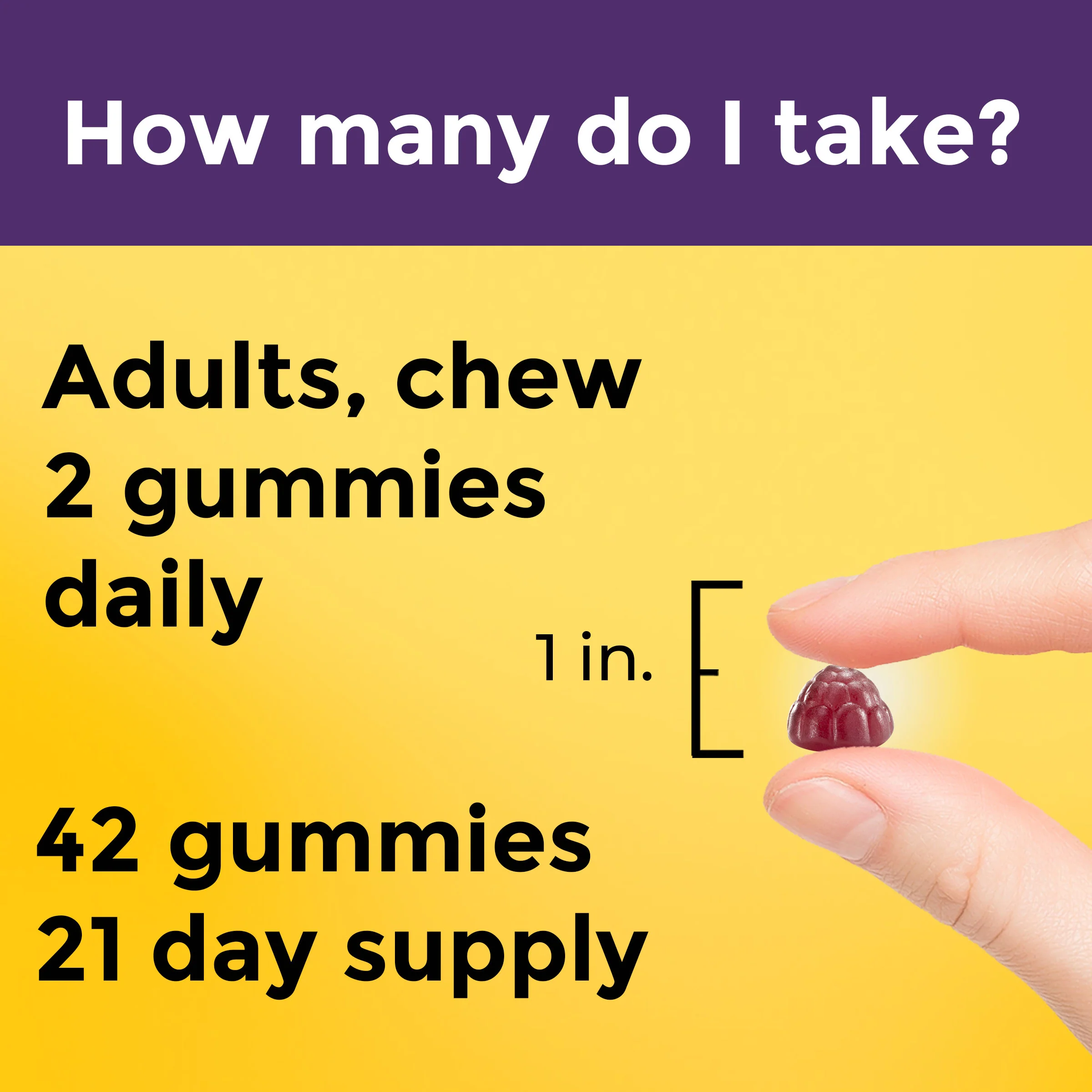 Digestive Probiotics Extra Strength 8 Billion CFU per 2 Probiotic Gummies - Image 4