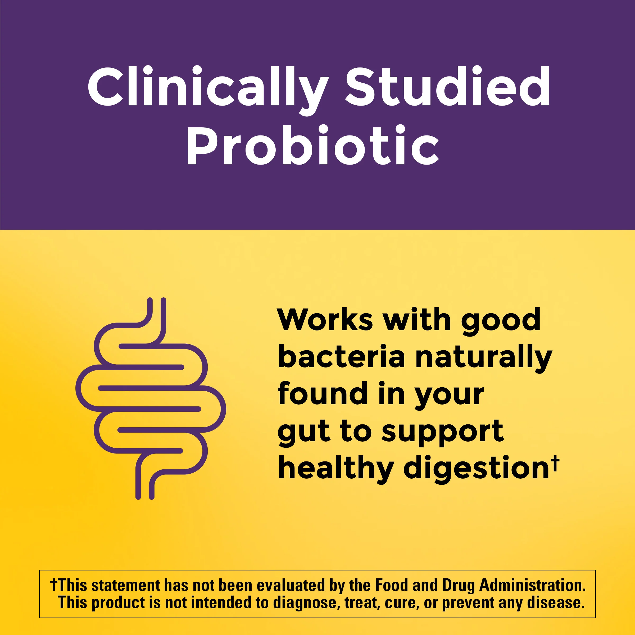 Digestive Probiotics Extra Strength 8 Billion CFU per 2 Probiotic Gummies - Image 5