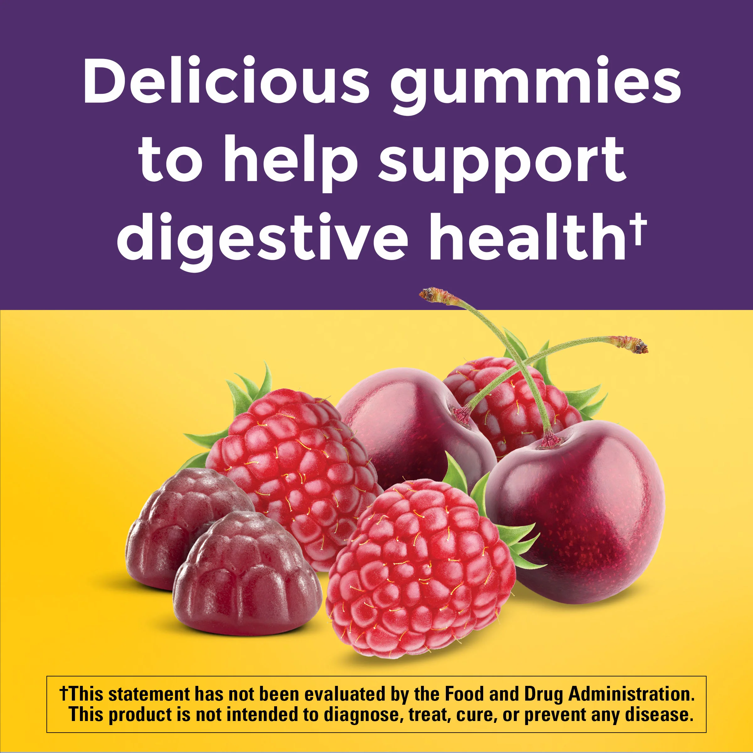 Digestive Probiotics Extra Strength 8 Billion CFU per 2 Probiotic Gummies - Image 6