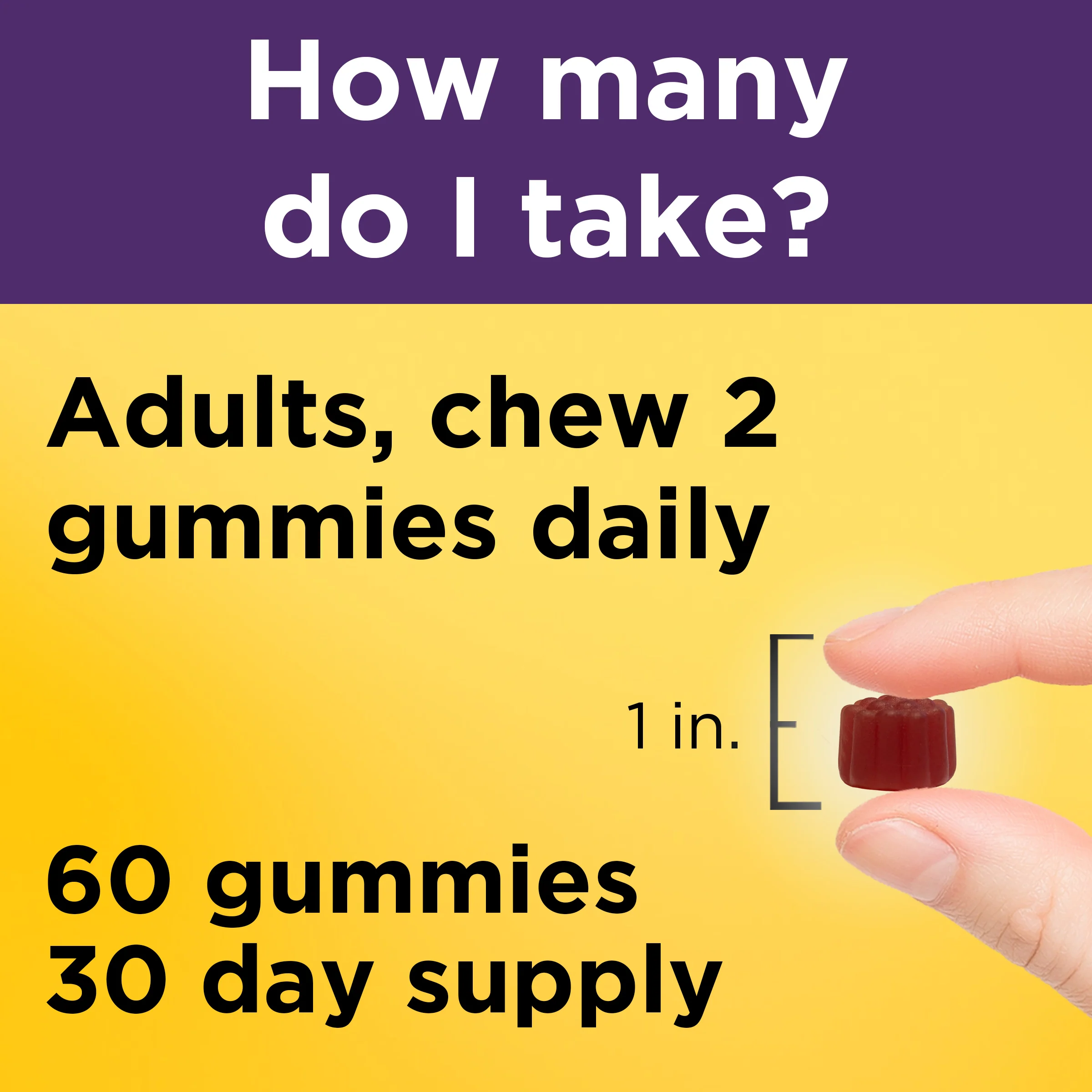 100 mg Elderberry Gummies with Vitamin C & Zinc - Image 3
