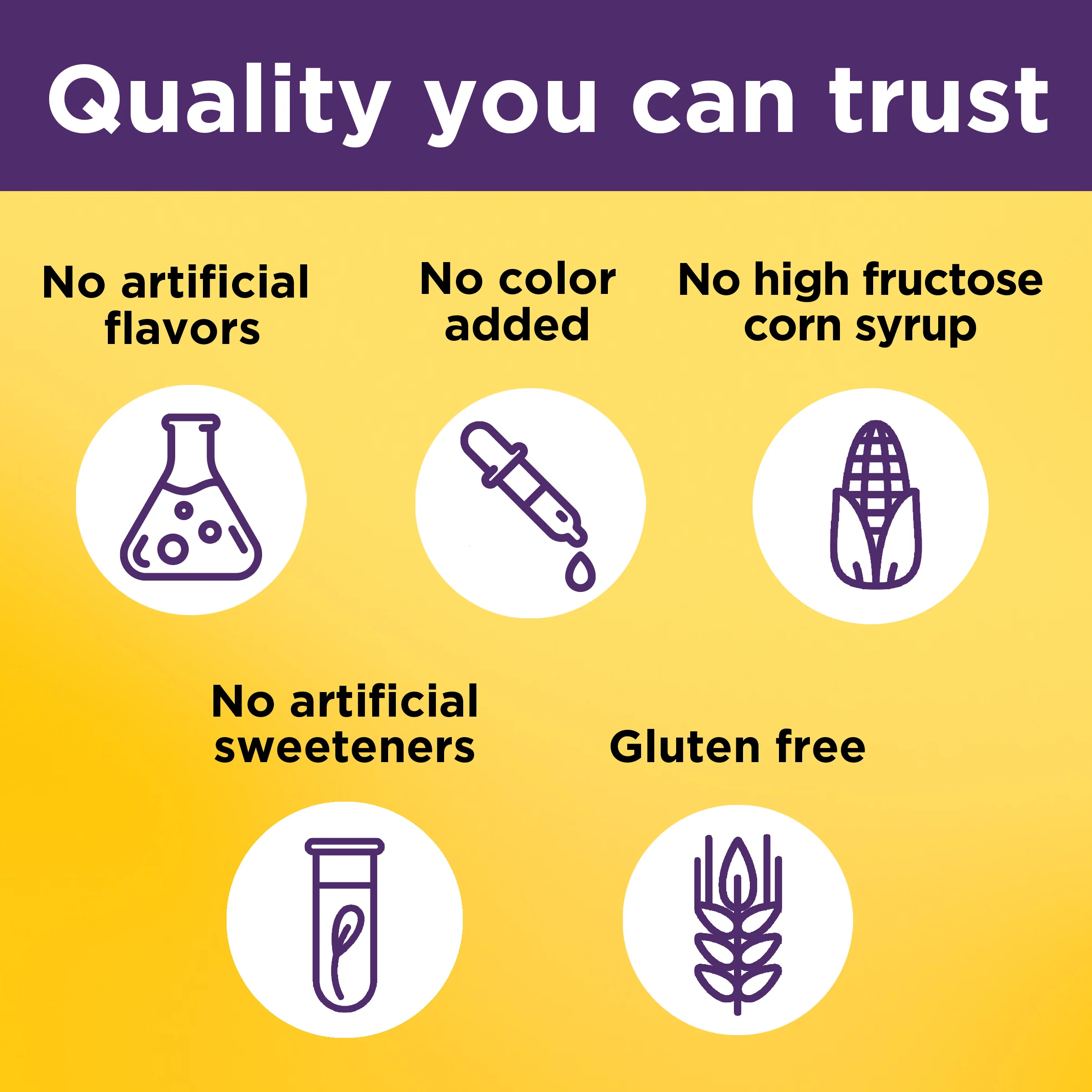 100 mg Elderberry Gummies with Vitamin C & Zinc - Image 9