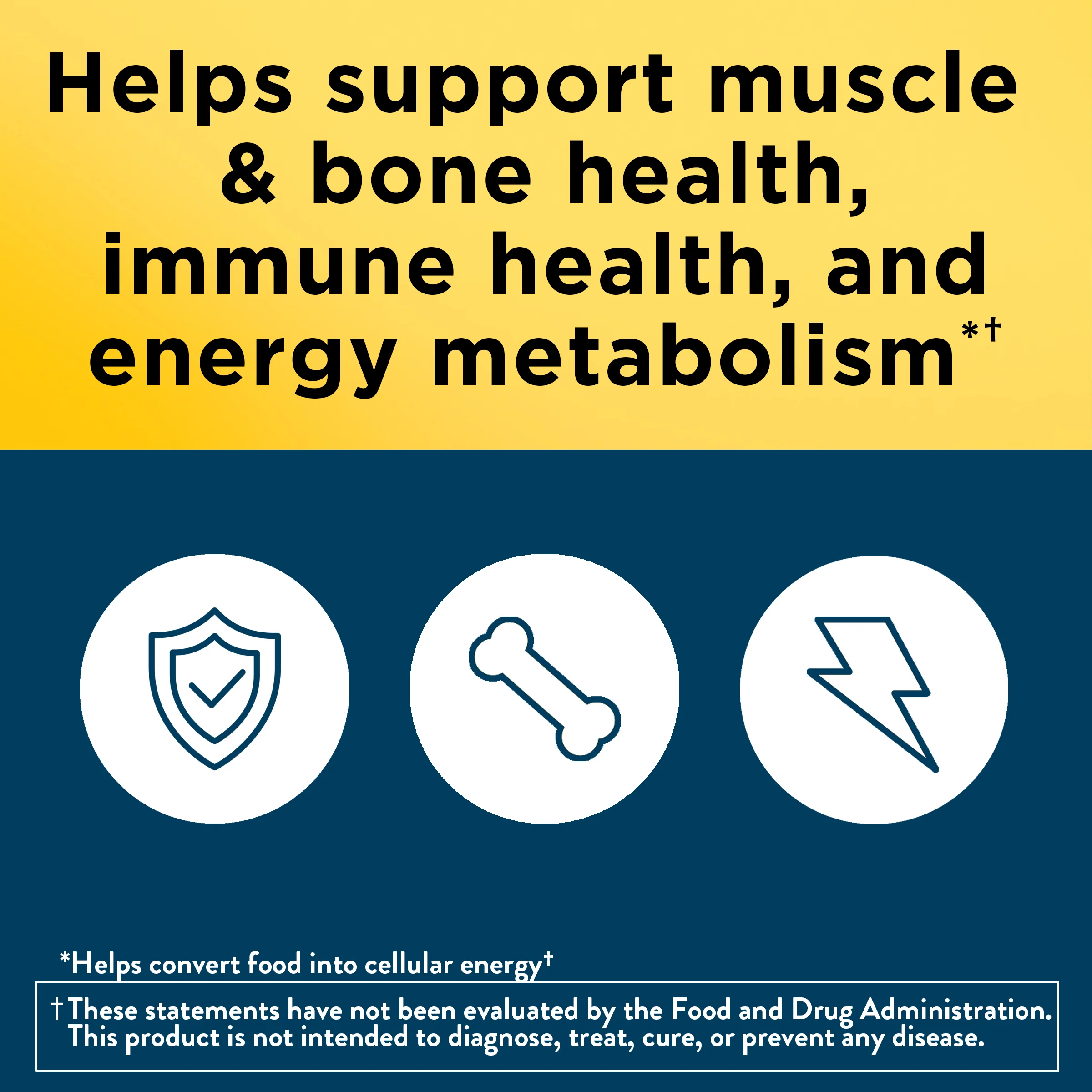 Men's Multivitamin 50+ Tablets - Image 5