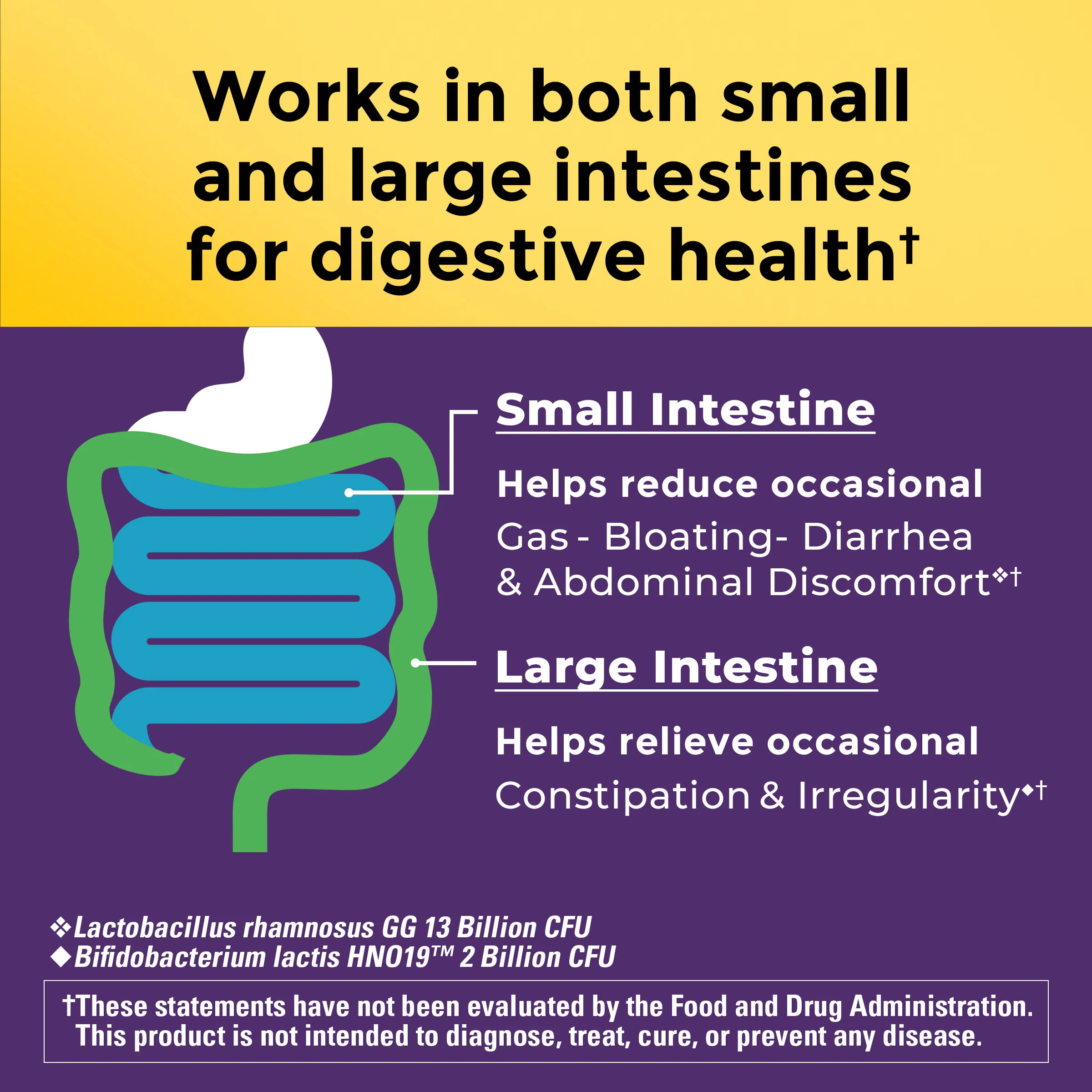 Probiotics Extra Strength 15 Billion CFU from Live Cultures Capsules - Image 6