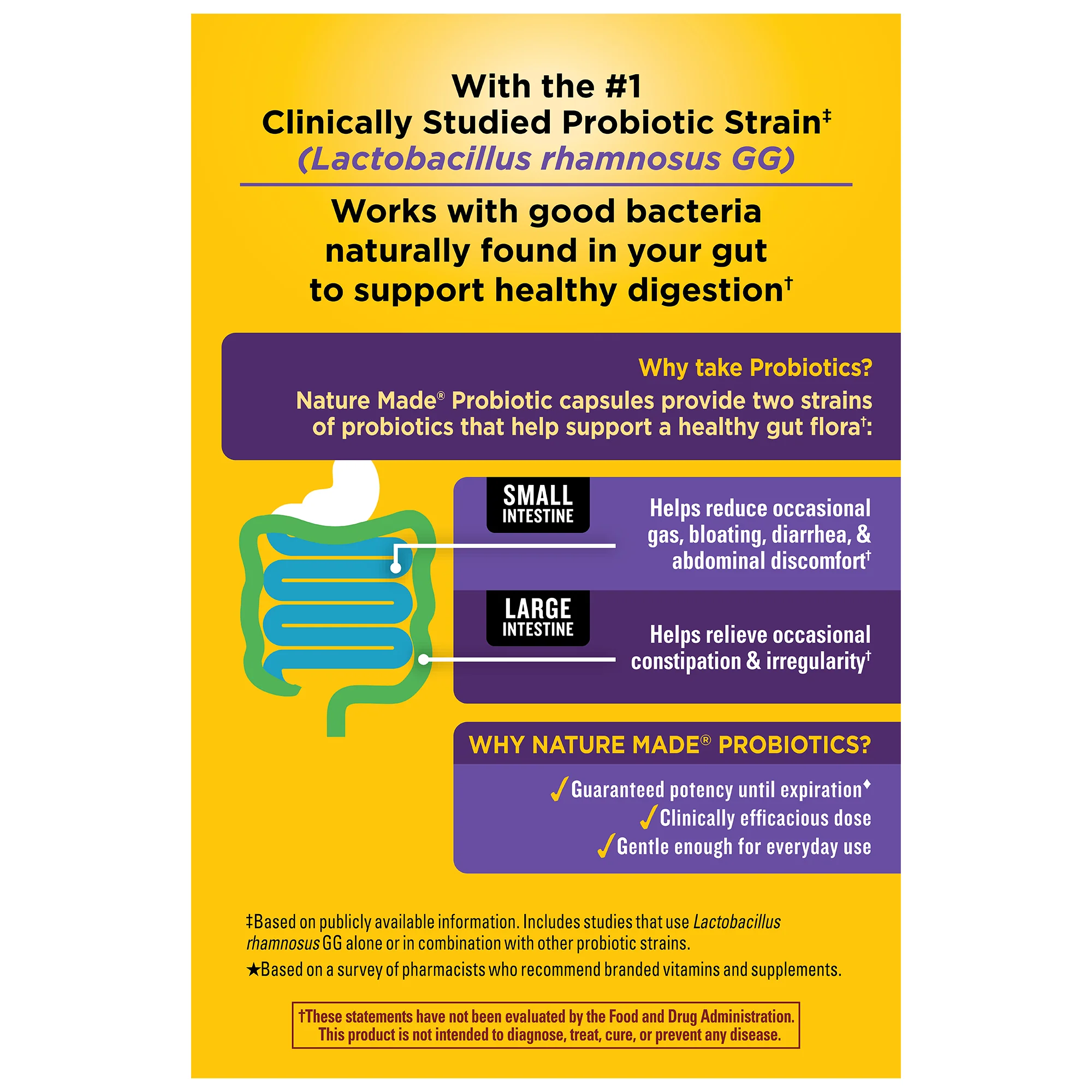 Probiotics Extra Strength 15 Billion CFU from Live Cultures Capsules - Image 9