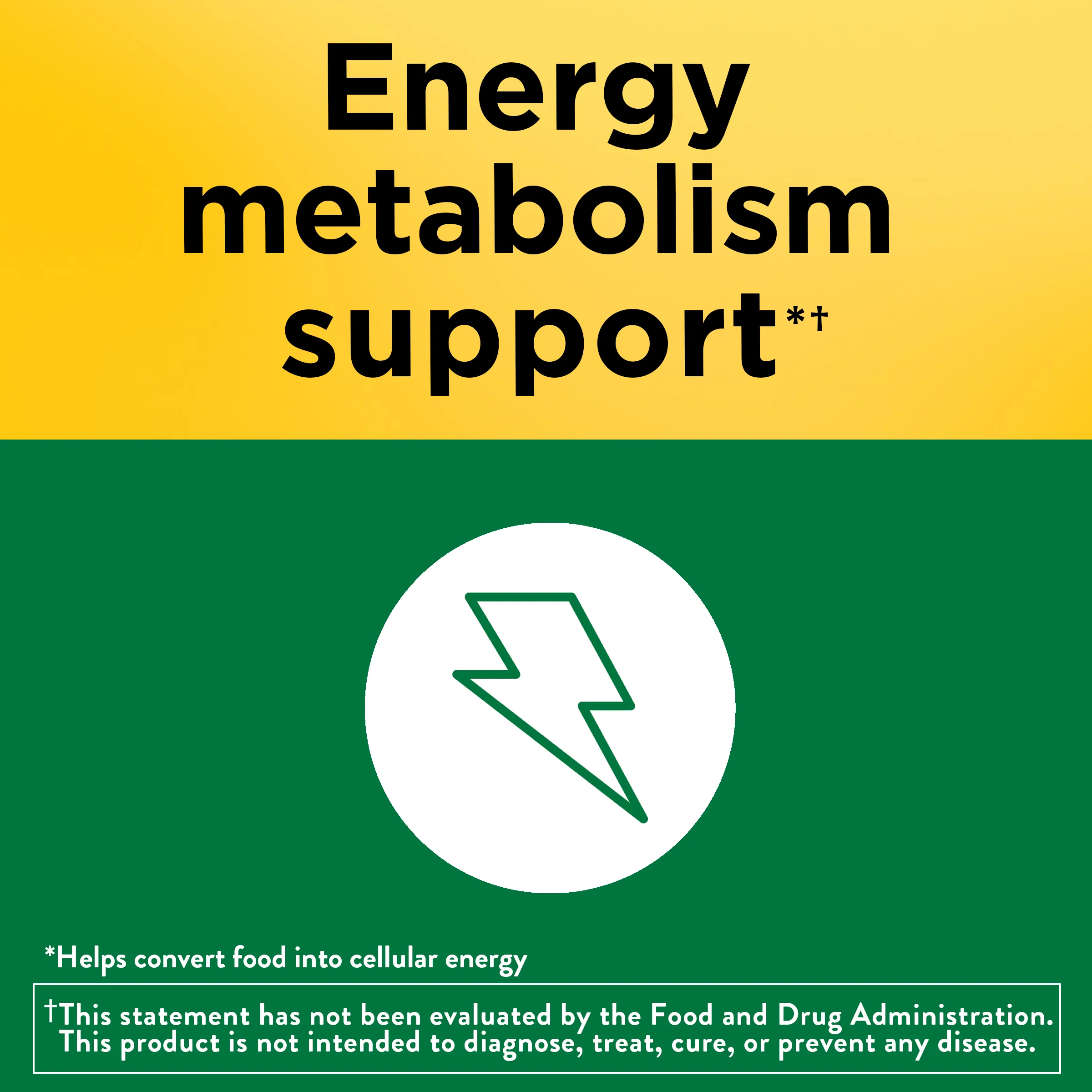 Vitamin B1 100 mg Tablets - Image 5