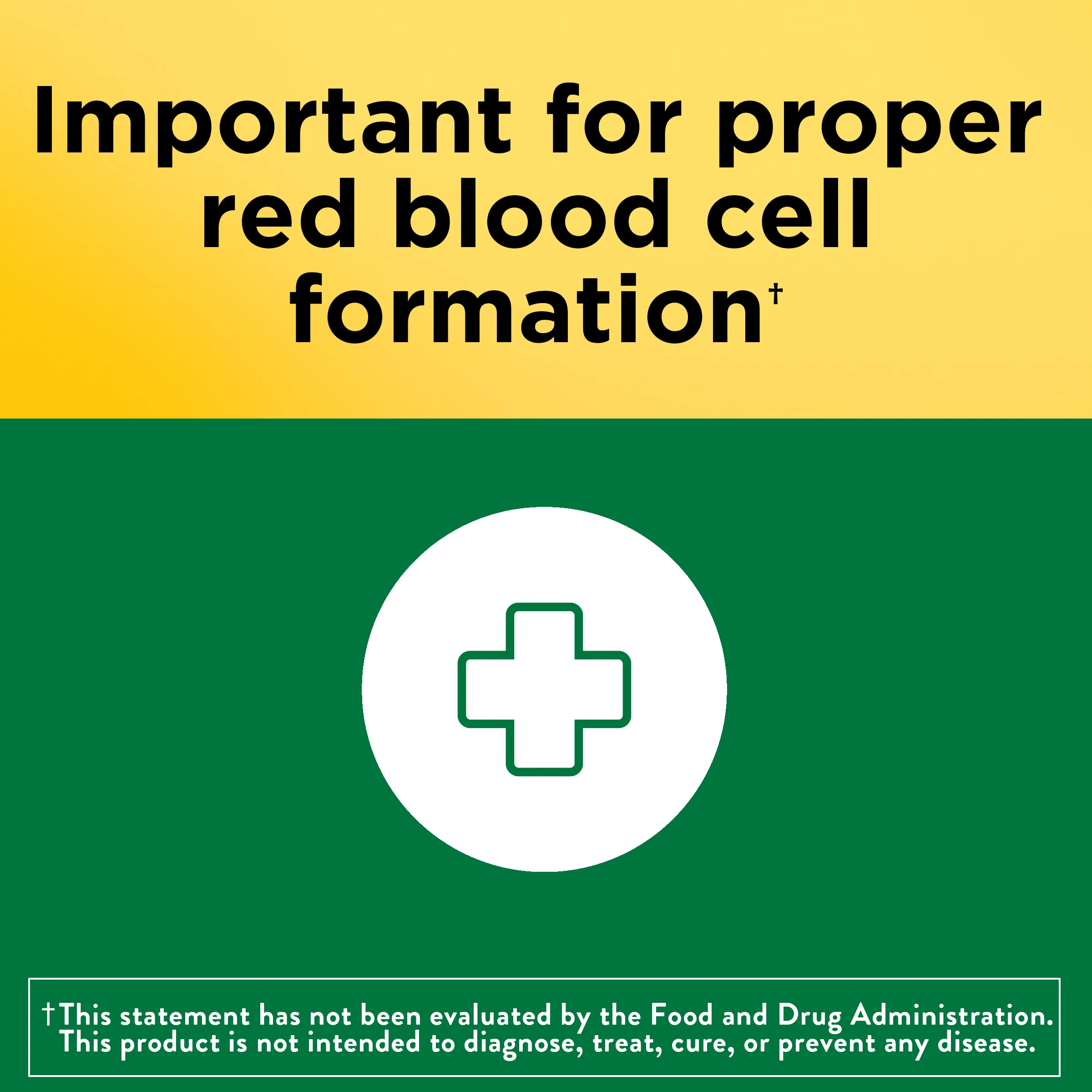 Vitamin B6 100 mg Tablets - Image 5